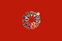 广陵区回收红酒